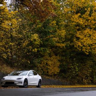 Tesla autumn wallpaper