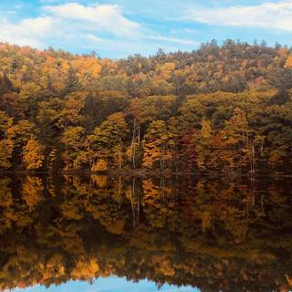 Calm autumn landscape wallpaper