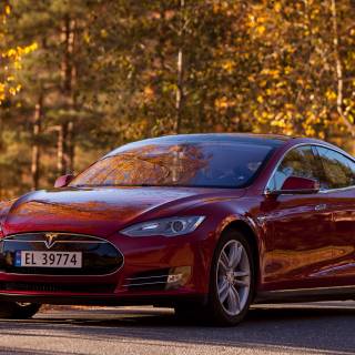 Tesla autumn wallpaper