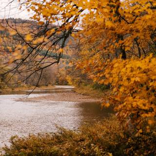 Calm autumn landscape wallpaper