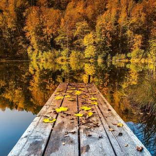 Calm autumn landscape wallpaper