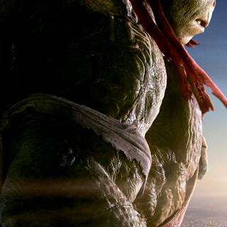 Ninja Turtles iPhone wallpaper