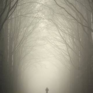 Lonely phone wallpaper