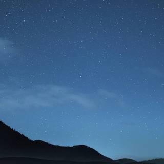 Lonely phone wallpaper