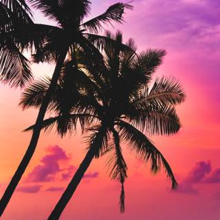 Florida iPhone wallpaper