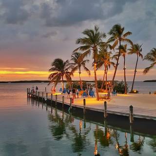 Florida iPhone wallpaper