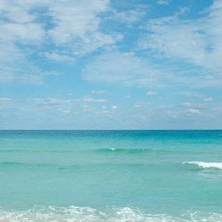 Florida iPhone wallpaper