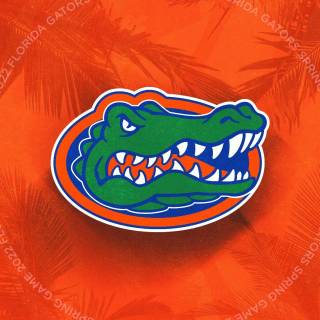 Florida iPhone wallpaper