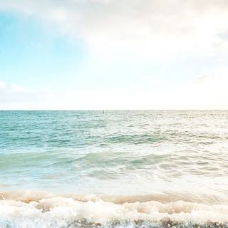 Florida iPhone wallpaper