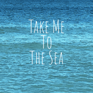 Florida iPhone wallpaper