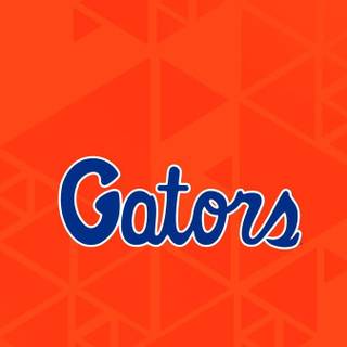 Florida iPhone wallpaper