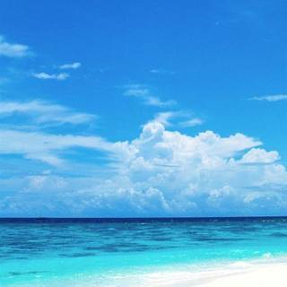 Florida iPhone wallpaper