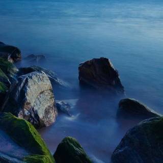 Florida iPhone wallpaper