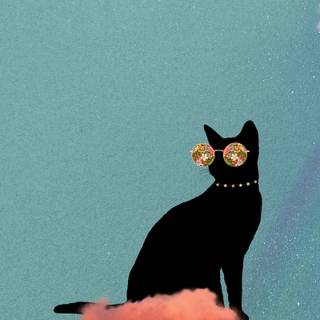 Black cat iPhone wallpaper