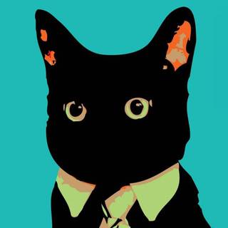 Black cat iPhone wallpaper