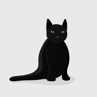 Black cat iPhone wallpaper