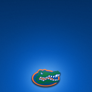 Florida iPhone wallpaper