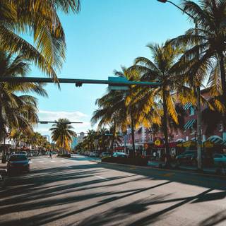 Florida iPhone wallpaper