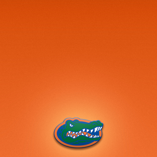 Florida iPhone wallpaper