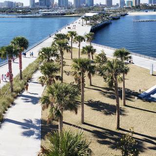 Florida iPhone wallpaper