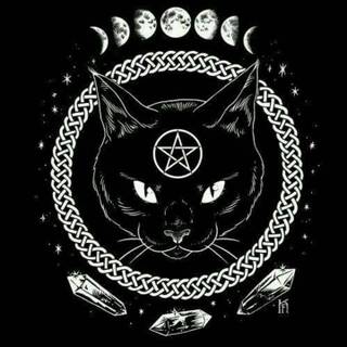 Black cat iPhone wallpaper