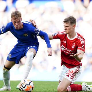 Cole Palmer wallpaper