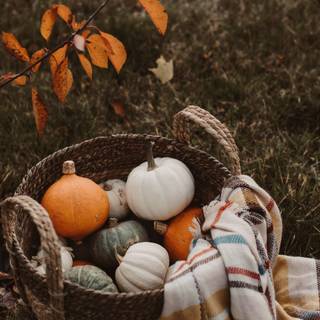iPhone autumn pumpkin wallpaper