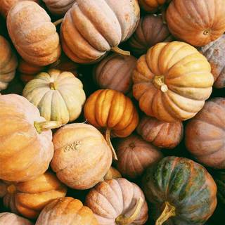 iPhone autumn pumpkin wallpaper