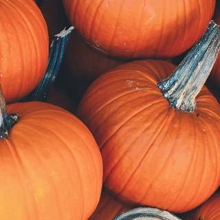 iPhone autumn pumpkin wallpaper