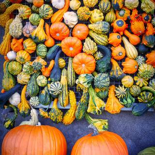 iPhone autumn pumpkin wallpaper