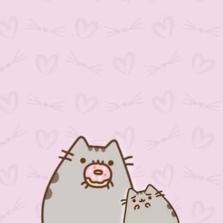 Donut cat wallpaper