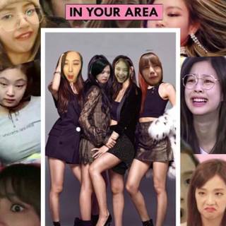 Blackpink funny wallpaper