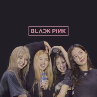 Blackpink funny wallpaper
