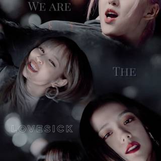 Blackpink funny wallpaper