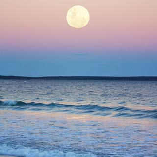 Moon rising wallpaper