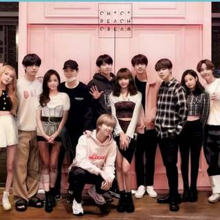 Blackpink funny wallpaper