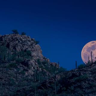 Moon rising wallpaper