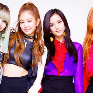 Blackpink funny wallpaper