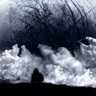 Moon rising wallpaper