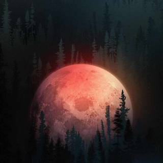 Moon rising wallpaper
