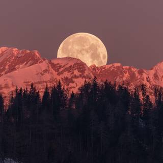 Moon rising wallpaper