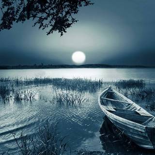 Moon rising wallpaper