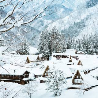 Japan winter phone wallpaper