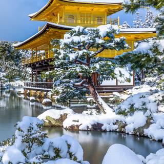 Japan winter phone wallpaper