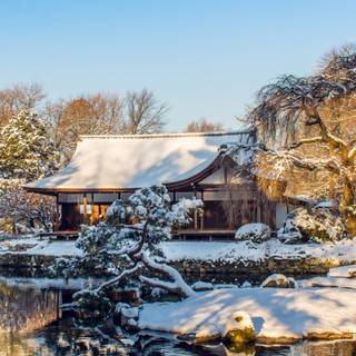 Japan winter phone wallpaper