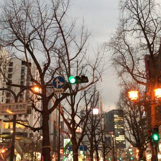 Japan winter phone wallpaper