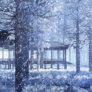 Japan winter forest wallpaper