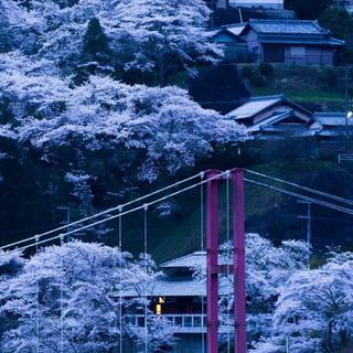 Japan winter phone wallpaper