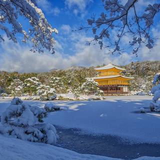 Japan winter landscape wallpaper