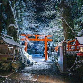 Japan winter forest wallpaper